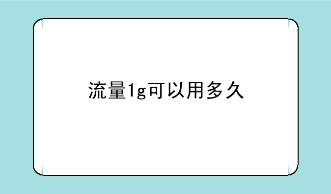 流量1g可以用多久