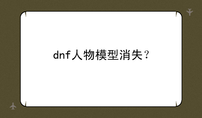 dnf人物模型消失？