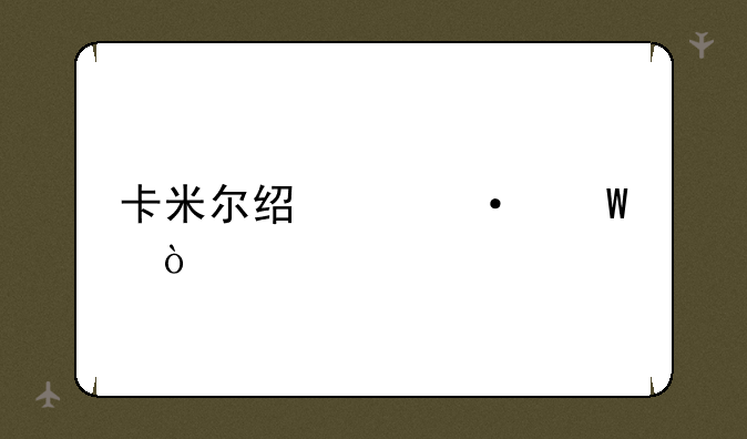 卡米尔经典语录？