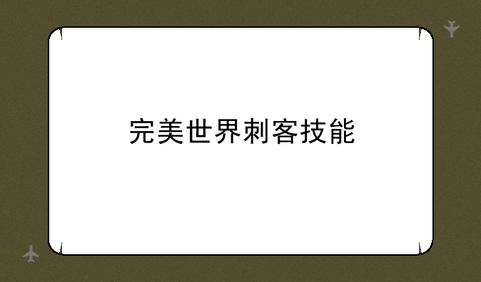 完美世界刺客技能