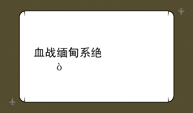血战缅甸系统设置？