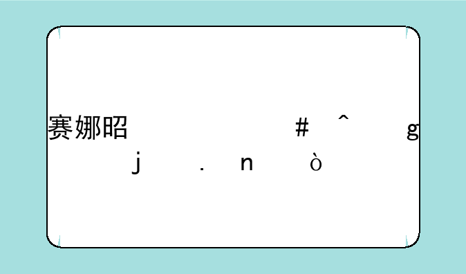 赛娜是什么时候出的英雄？