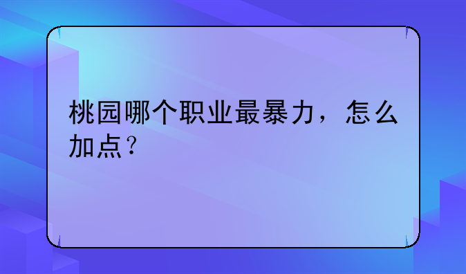 桃园哪个职业最暴力，怎么加点？