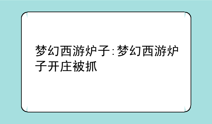 梦幻西游炉子:梦幻西游炉子开庄被抓
