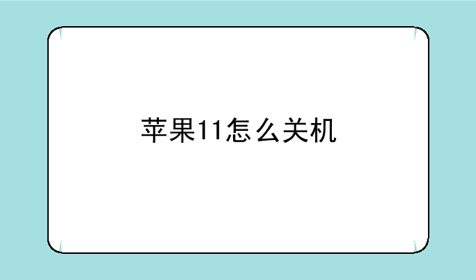 苹果11怎么关机