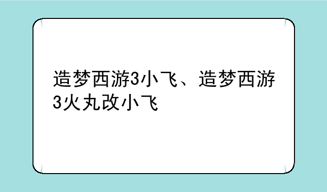 造梦西游3小飞、造梦西游3火丸改小飞